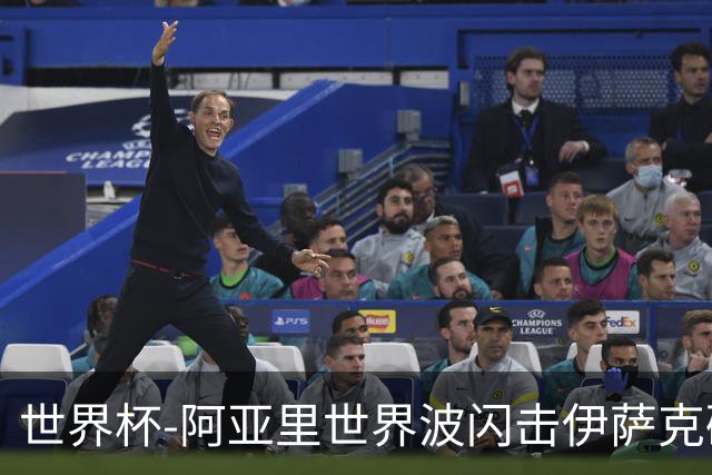 世界杯-阿亚里世界波闪击伊萨克破门 半场瑞典2-1突尼斯